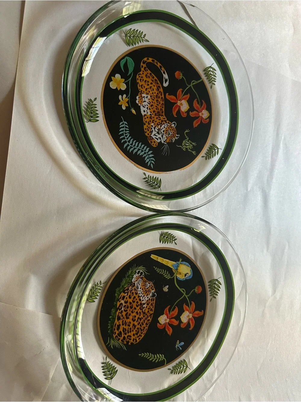 Set of 10 Lynn Chase Decorative Leopard Glass salad Plates- Green Accent